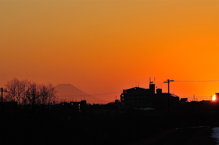 2013.01.19　見沼田んぼ　東浦和起点　富士山　埼玉県さいたま市_b0217090_1833631.jpg