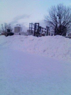 c0201895_20201626.jpg