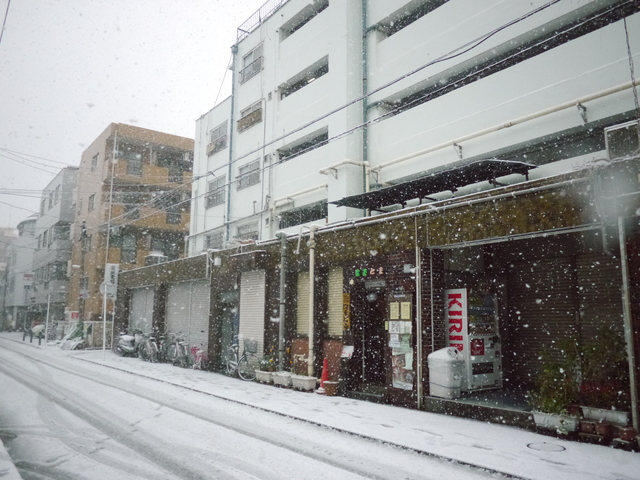 【写真】雪・横浜_e0149596_19454024.jpg
