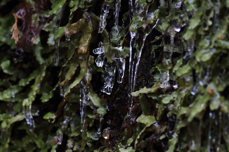 b0223198_20222748.jpg
