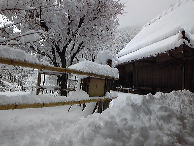 e0197602_1614502.jpg