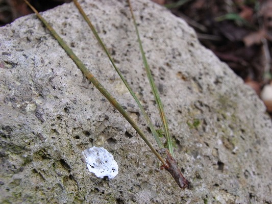 f0187402_21441470.jpg