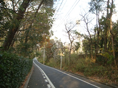 a0167803_16293939.jpg