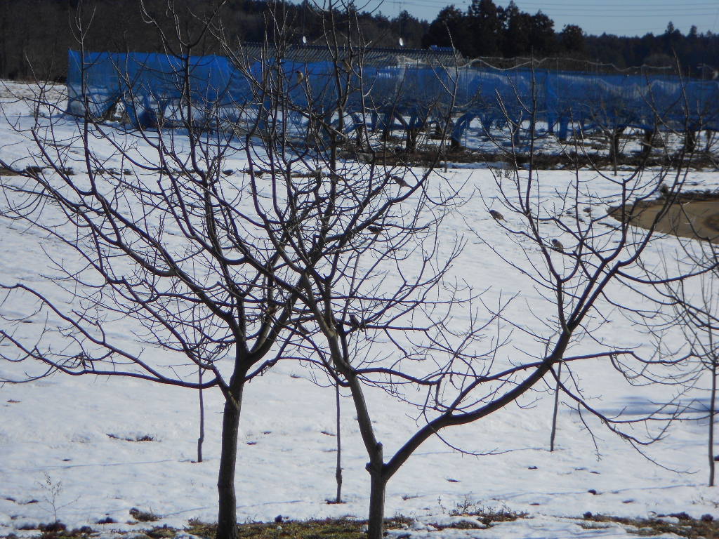 b0147203_994287.jpg