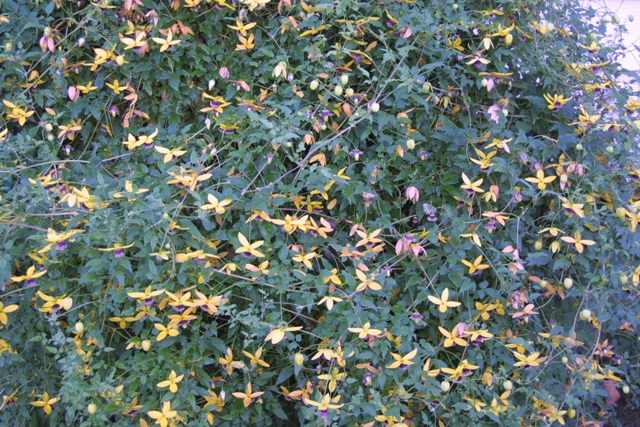c0062603_1472490.jpg