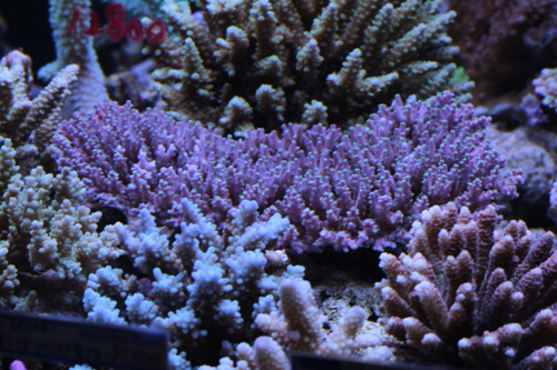 b0240608_1927134.jpg