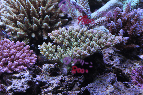 b0240608_1927715.jpg