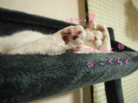 b0042310_1651832.jpg