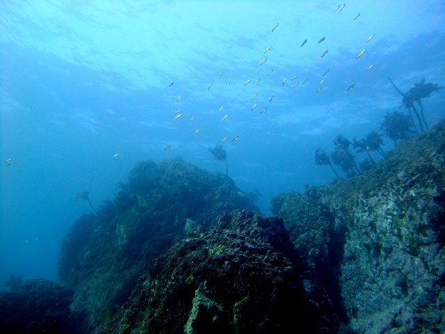 d0175710_17382985.jpg