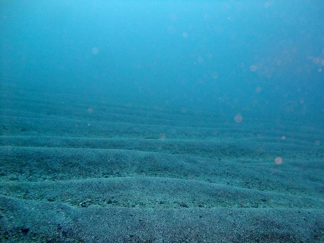 d0175710_17461726.jpg