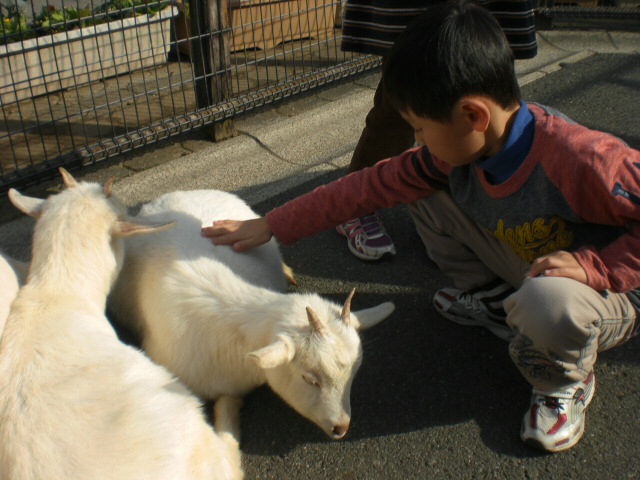 荒川遊園へ～_c0175411_94051.jpg