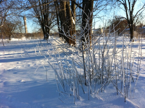 e0250023_12393350.jpg