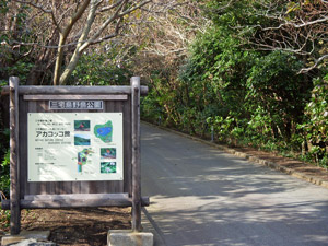 a0119827_10191760.jpg