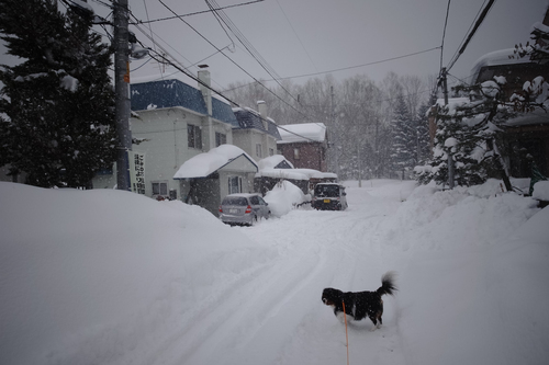 今年初めてのプラス気温。_c0051132_2237080.jpg