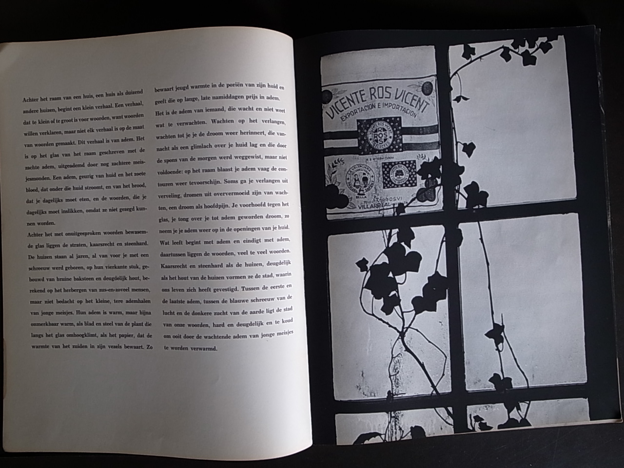 ACHTER GLAS / Joan van der Keuken (Johan van der Keuken), Remco