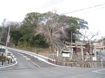 若松半島の低山を４座　　　ＪＲ若松駅～ＪＲ二島駅を利用_c0077338_6563779.jpg