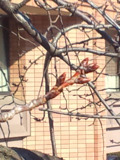 f0073639_1985972.jpg