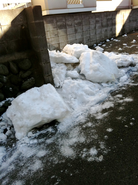 雪のあと３＆_f0179947_0293869.jpg