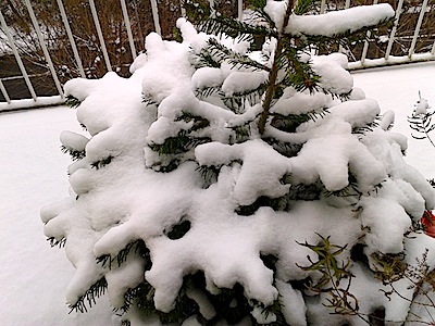 b0117348_2212227.jpg