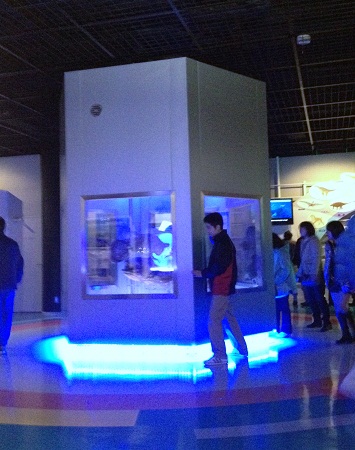 e0164951_092488.jpg