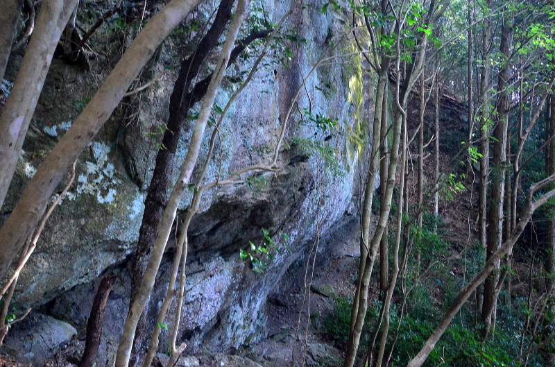 c0024254_22381569.jpg