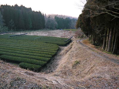 熊本県菊池市伊牟田の｢どんどや｣_a0254656_1955690.jpg