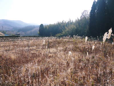 熊本県菊池市伊牟田の「どんどや」_a0254656_19583365.jpg