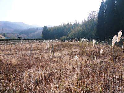 熊本県菊池市伊牟田の｢どんどや｣_a0254656_19583365.jpg