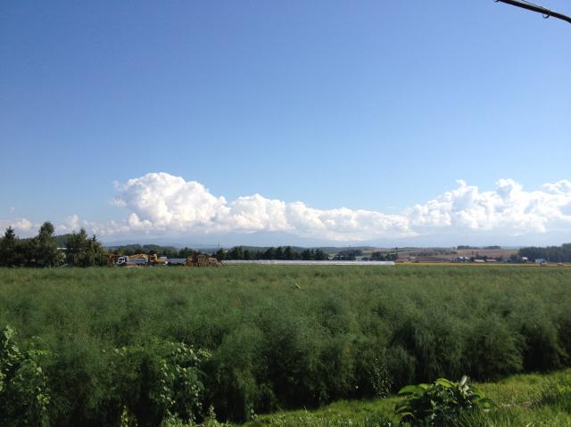 c0105957_0321254.jpg