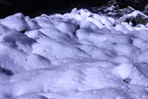 a0248459_2003998.jpg