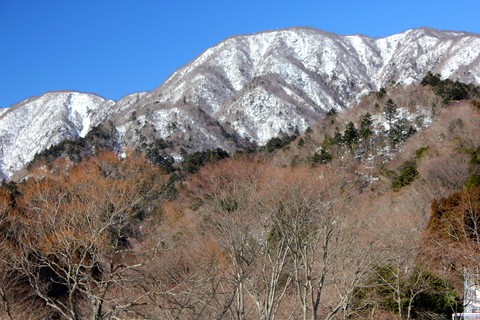 a0248459_2015331.jpg