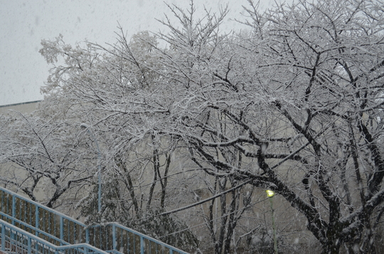 c0080861_11931.jpg