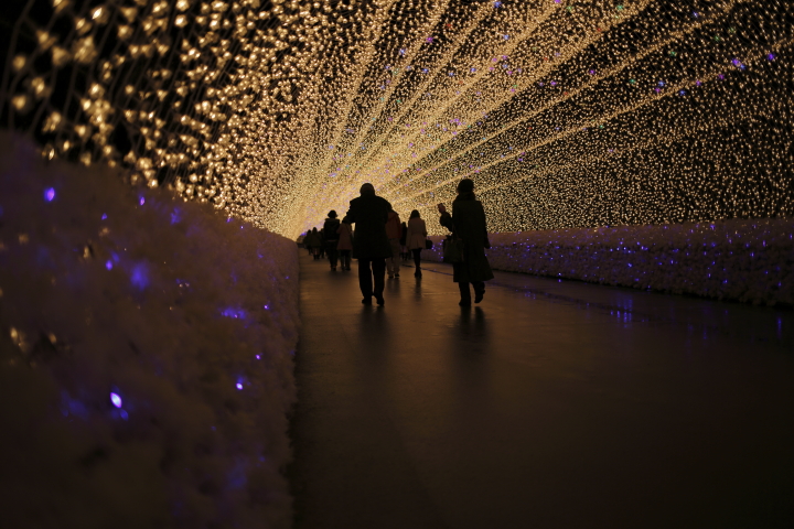 Winter Illumination 冬華の競演　【光の回廊 2012～2013】_d0108063_14302054.jpg