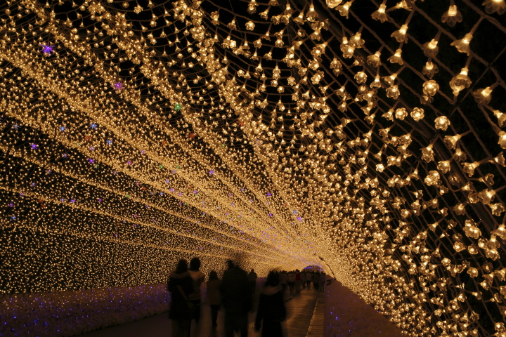 Winter Illumination 冬華の競演　【光の回廊 2012～2013】_d0108063_14304818.jpg