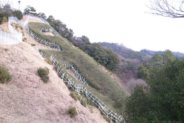 c0218468_19134944.jpg