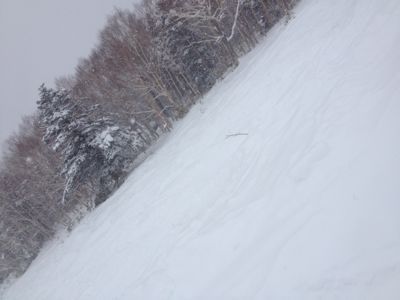 f0233068_17565440.jpg