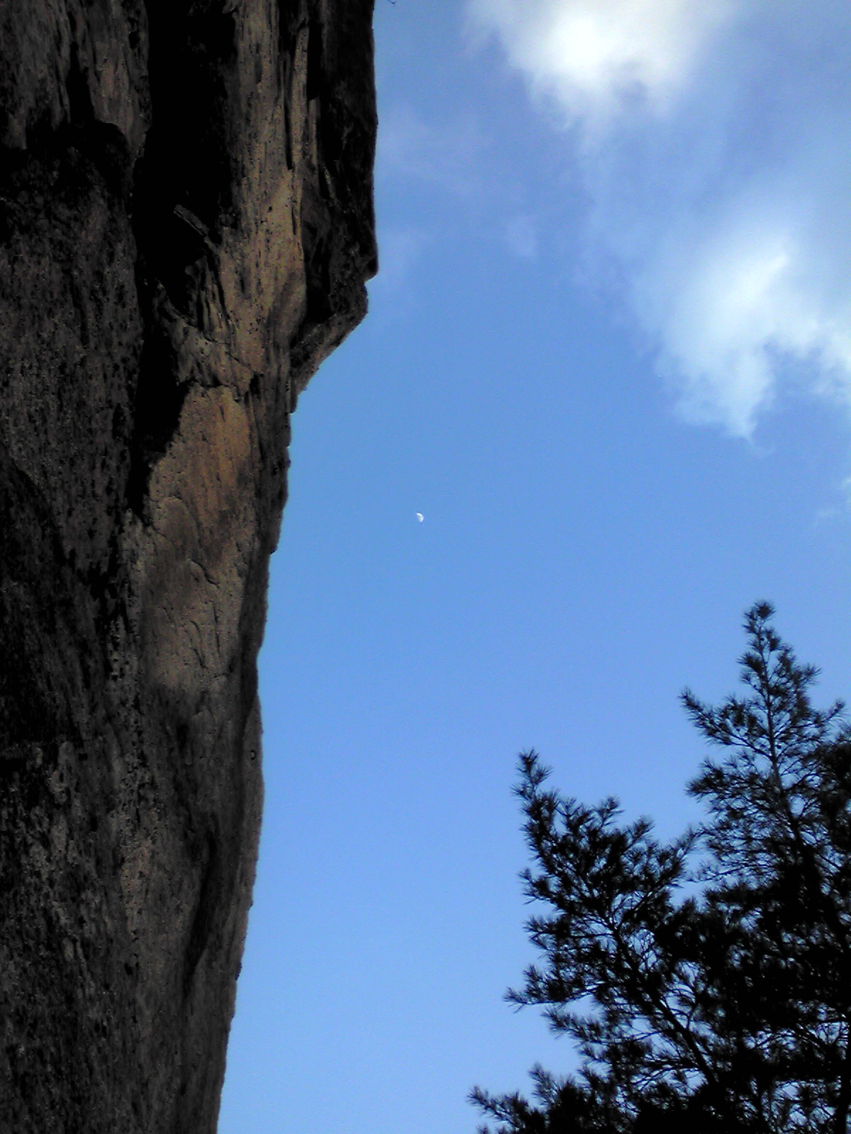 f0223480_78389.jpg