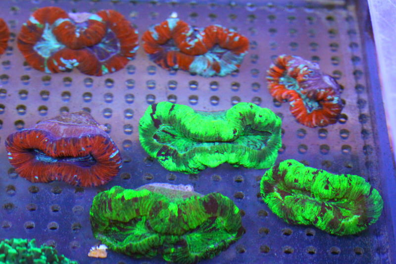 e0173381_18174029.jpg