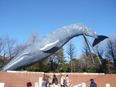 a0257385_2130621.jpg