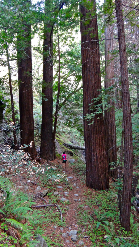 2013/01/19 Monterey Trail Trip Garrapata State Park _b0220886_16162164.jpg
