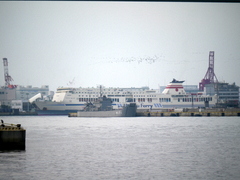 b0192588_1142566.jpg