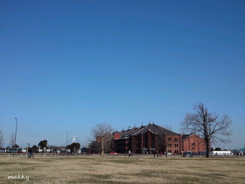 a0115202_14535.jpg
