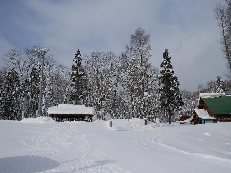 週末は雪おろし_c0212307_10314177.jpg