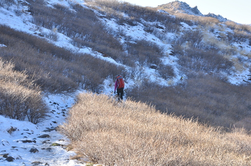 e0314407_2019497.jpg