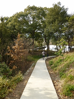 b0223711_926375.jpg