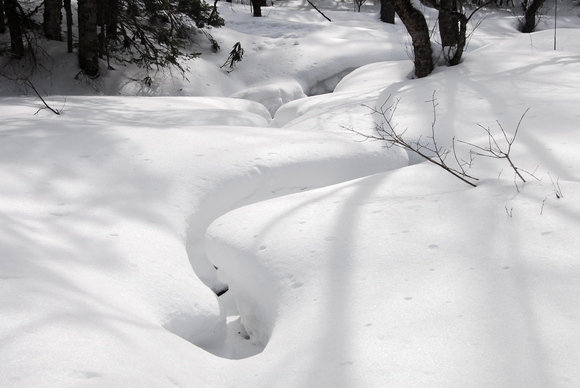 Backpacking with Snowshoe 5_b0223512_07321.jpg