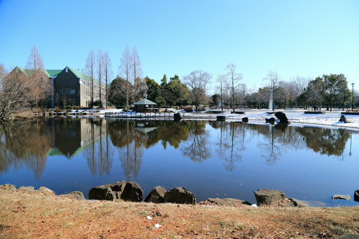 公園の風景_e0308317_121934100.jpg