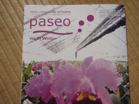 paseo_a0256619_2122473.jpg