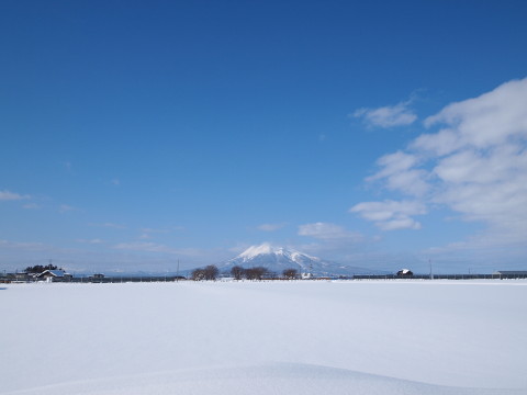 b0147224_2063843.jpg