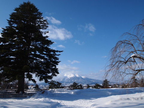 b0147224_2083760.jpg
